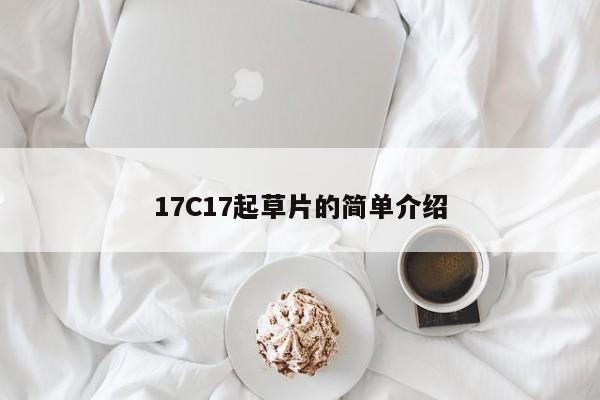 17C17起草片的简单介绍