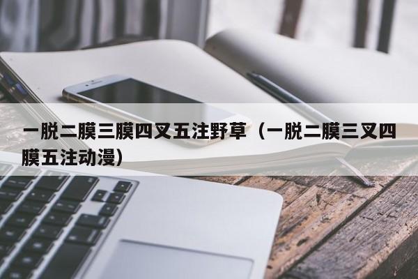 一脱二膜三膜四叉五注野草（一脱二膜三叉四膜五注动漫）