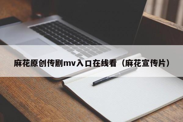 麻花原创传剧mv入口在线看（麻花宣传片）